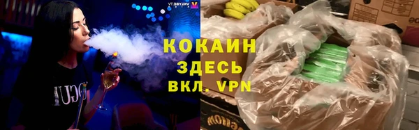 индика Белоозёрский